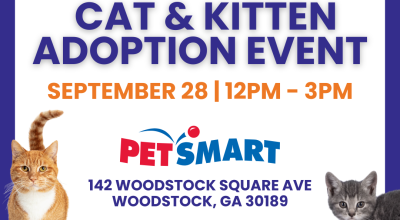 Cat and Kitten Adoption Event in Woodstock September 28