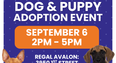 Dog and Puppy Adoption Event at Regal Avalon September 6th Dog and Puppy Adoption Event at Regal Avalon September 6th