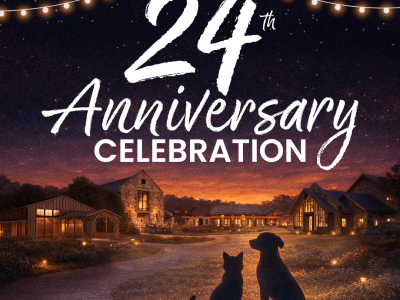 Furkids 24th Anniversary Celebration