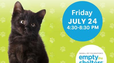 Kitten & Cat Adoption Event - Petsmart Woodstock (7/24)