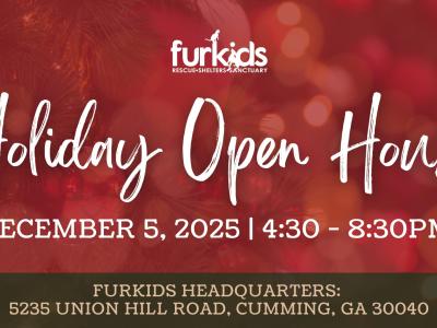 Holiday Open House at Furkids HQ!