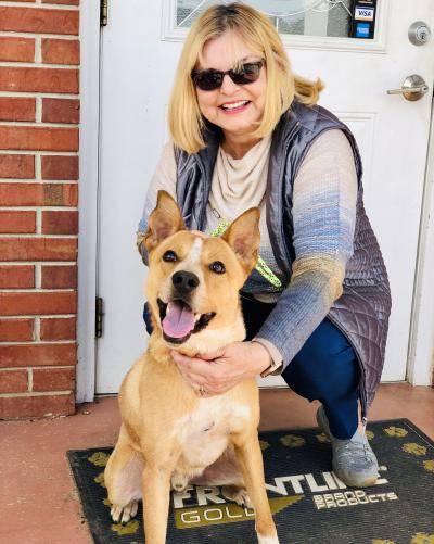 Happy Tails from the Lamar County Puppy Mill Dogs