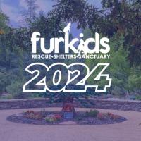 Celebrating a Milestone Year: Furkids 2024 Year in Review