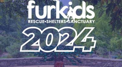 Celebrating a Milestone Year: Furkids 2024 Year in Review