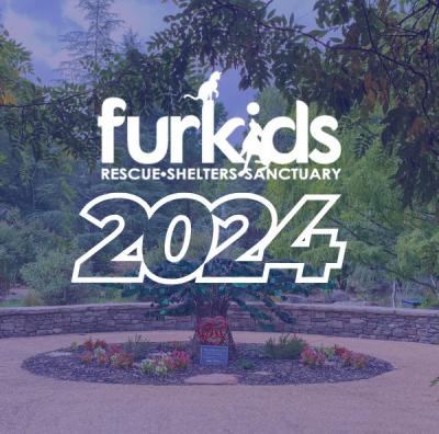 Celebrating a Milestone Year: Furkids 2024 Year in Review