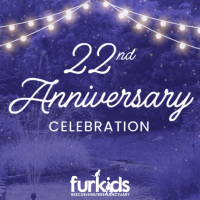 Celebrating 22 Years of Furkids: A Journey of Compassion