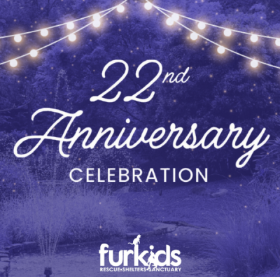 Celebrating 22 Years of Furkids: A Journey of Compassion