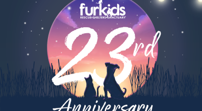 A Better Future for Animals - Furkids 23rd Anniversary Celebration!