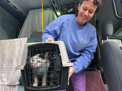 Atlanta-based Furkids Disrupts Traditional Animal Adoption Process  with Unique TransFur Program