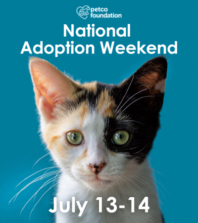 Save a Life this Weekend with Furkids at Petco!