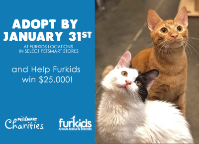 Adopt by January 31 and Help Furkids win $25,000!