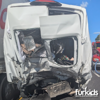 A Week of Heartbreak and Hope: Reflecting on the Furkids Transport Van Accident
