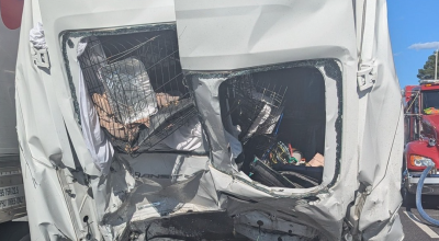 A Week of Heartbreak and Hope: Reflecting on the Furkids Transport Van Accident