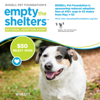 Join Furkids and BISSELL Pet Foundation to “Empty the Shelters”