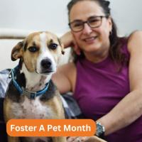 It’s National Foster a Pet Month!