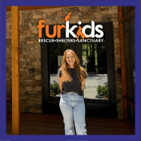What to Expect When Visiting the Furkids Cat Shelter