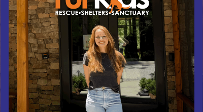 What to Expect When Visiting the Furkids Cat Shelter