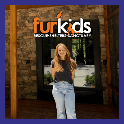 What to Expect When Visiting the Furkids Cat Shelter