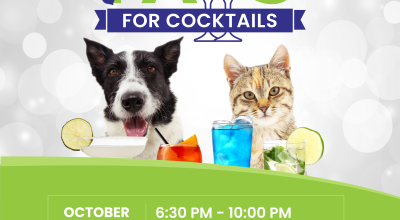 Sweet 16: Our Biggest Paws for Cocktails Yet!
