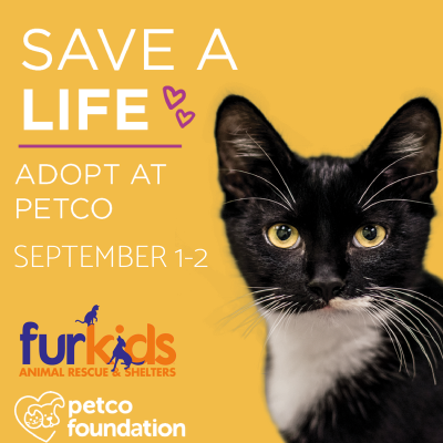 Petco Foundation And Furkids Invite You To  Save A Life This Weekend At Petco