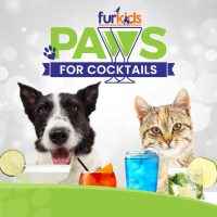 Our 15th Annual Paws for Cocktails Celebration Was a Night of Heart and Hope