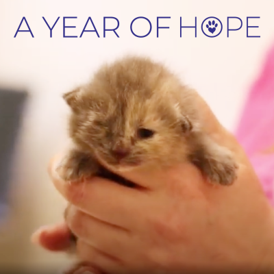 A Year of Hope