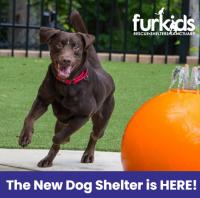The Sutherlin Dog Shelter Grand Opening The Sutherlin Dog Shelter Grand Opening