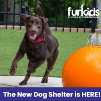 The Sutherlin Dog Shelter Grand Opening
