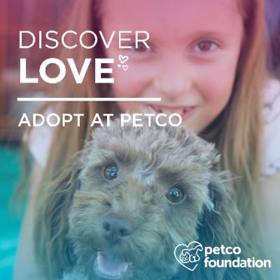 Petco National Adoption Weekend is July 7th and 8th - We’re going for a new record!