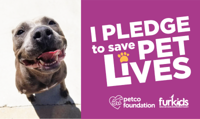 Pledge to Save Pet Lives!