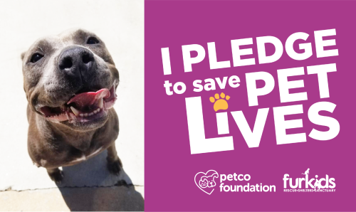 Pledge to Save Pet Lives! | Furkids - Georgia's Largest No Kill Animal  Rescue & Shelters