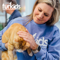 10 Furkids Highlights That Made 2025 Unforgettable