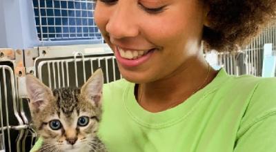 Atlanta's Largest No Kill Animal Shelter & Rescue | Dog & Cat Adoption |  Furkids - Georgia's Largest No Kill Animal Rescue & Shelters