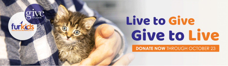 Help Furkids Win the 2020 Give Atlanta Challenge!