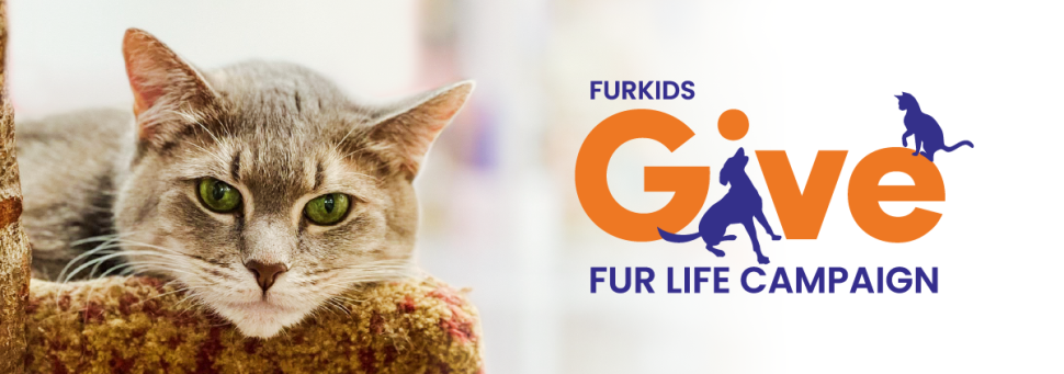 Give Fur Life