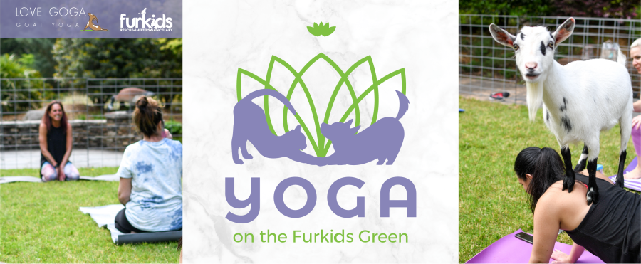 Yoga on the Furkids Green