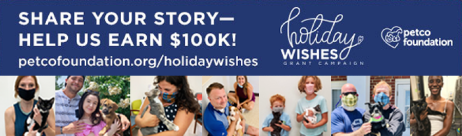 Submit Your Adoption Story - Help Furkids Win $100,000