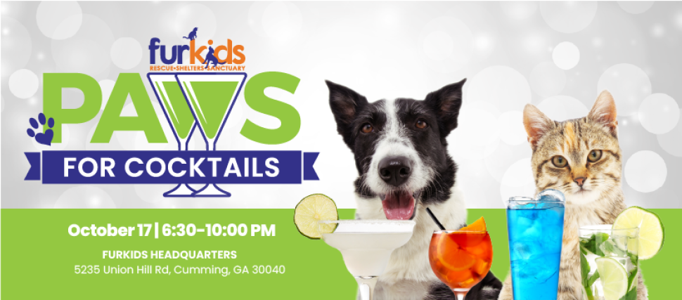Paws for Cocktails