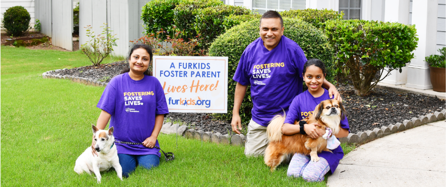 Meet Furkids fosters who said their lifesaving “Yes!” and never looked back…
