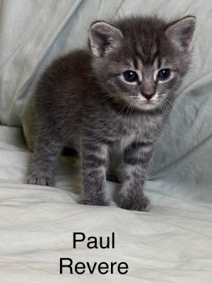 Paul Revere
