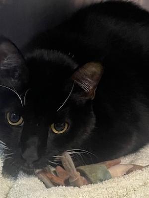 Waldo (was Baby) Waldo (was Baby)