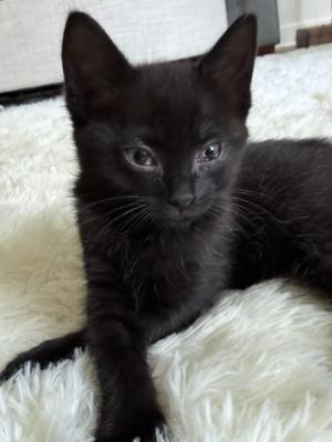 Rhea aka Juno