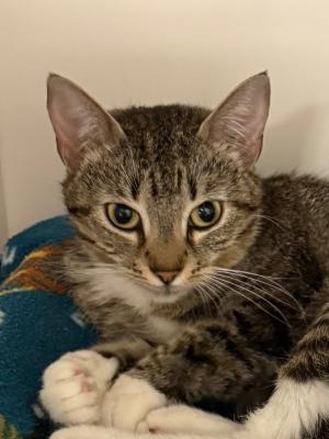 Maya (was Mother Earth)