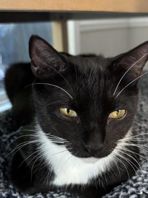 Kiki 2