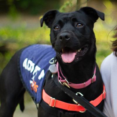 Daisy Jane 22258