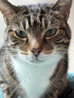 Maya (was Mother Earth)