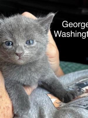 George Washington