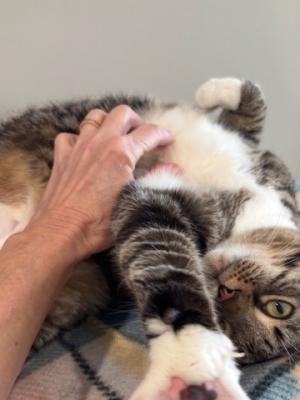 Maya (was Mother Earth)