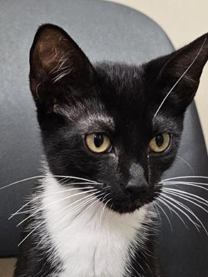 Micah