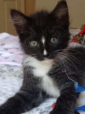 Tux
